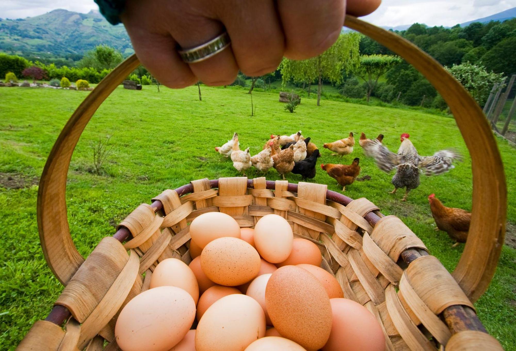 Casa Rural Zigako Etxezuria المظهر الخارجي الصورة